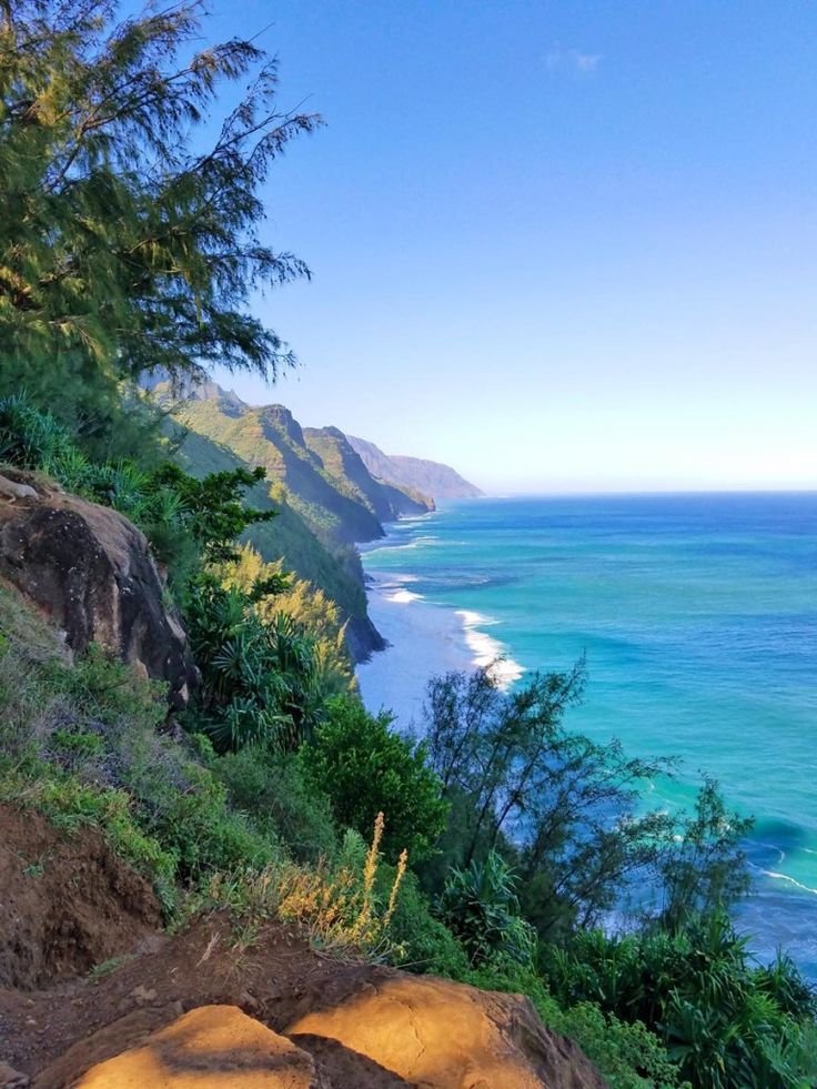 This may contain: an elephant laying on top of a lush green hillside next to the ocean and trees