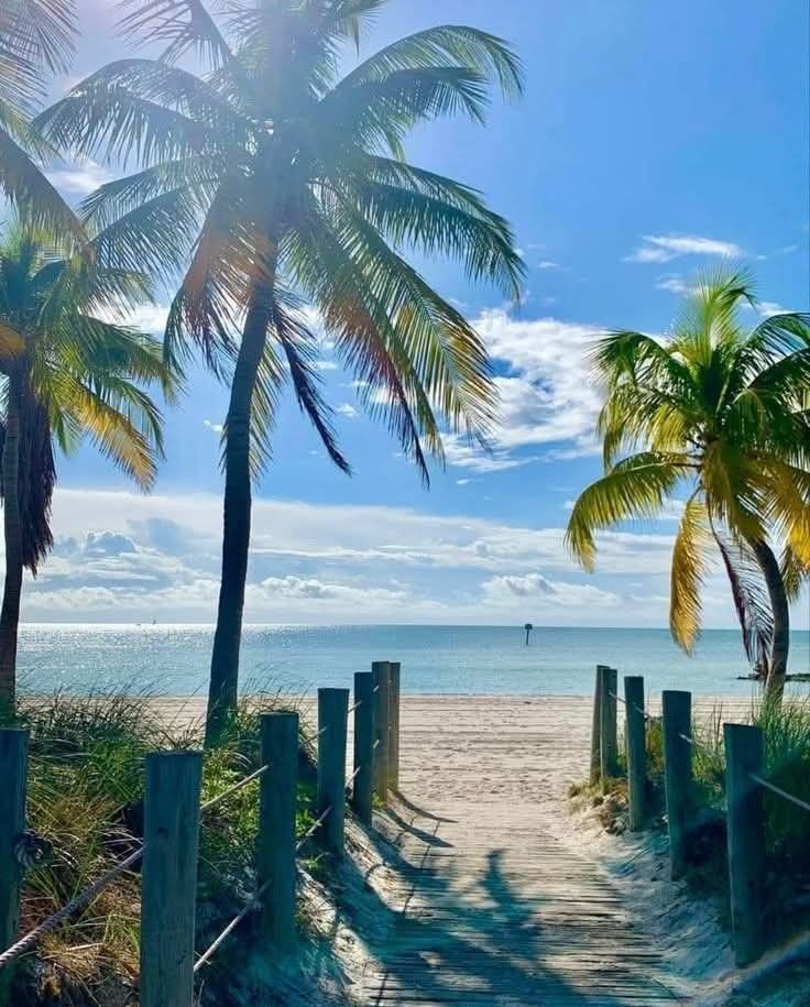 This may contain: a path leading to the beach with palm trees