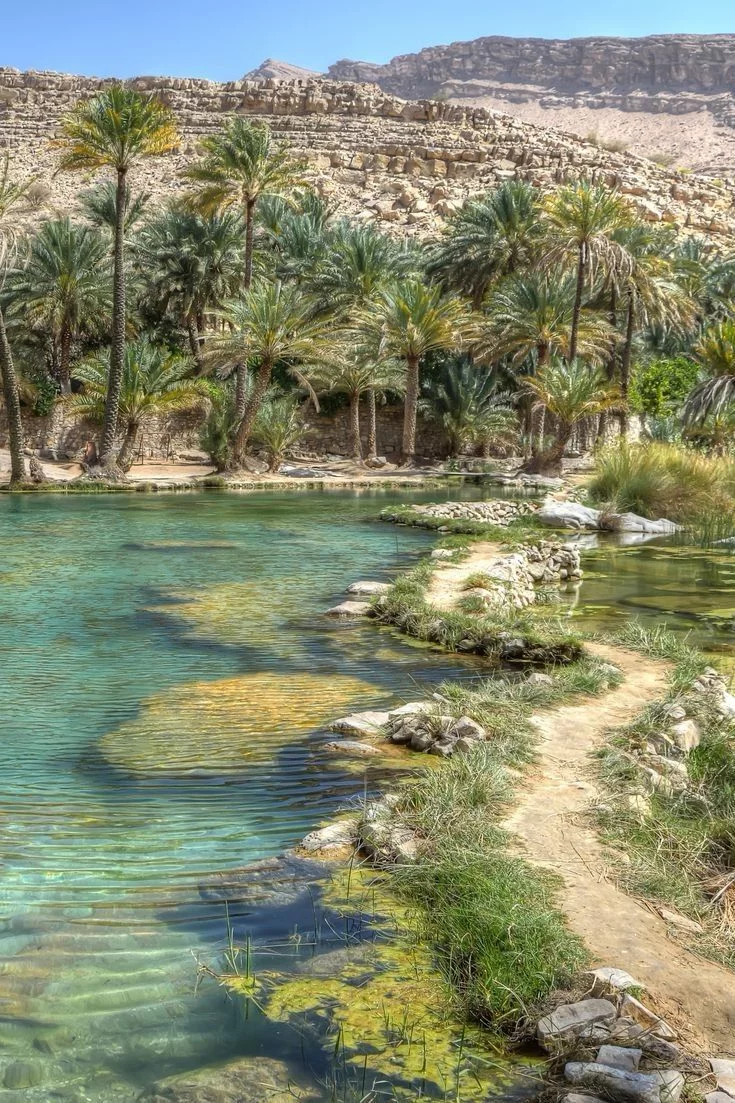 This may contain: the water is crystal clear and blue in this desert area with palm trees on either side