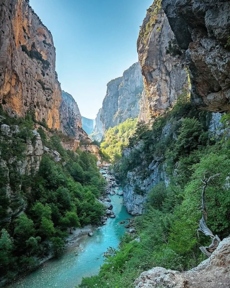 This may contain: a river flowing through a lush green forest next to tall rocky mountains with trees on either side