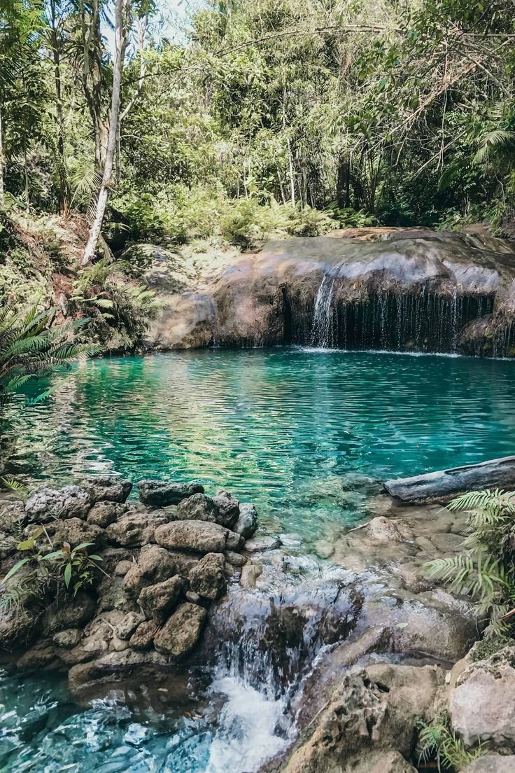 This may contain: a pool in the middle of a forest with waterfall coming out of it's side