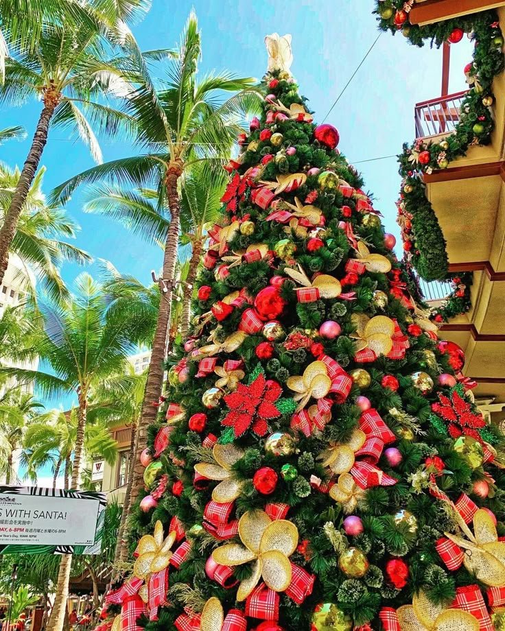 This may contain: a large christmas tree is decorated with red and gold ornaments, poinsettis and bows