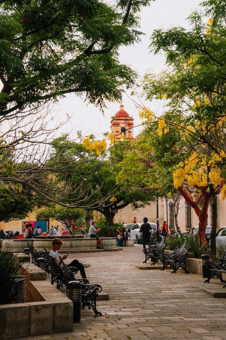 This may contain: people are sitting on benches in the middle of a courtyard with trees and yellow flowers