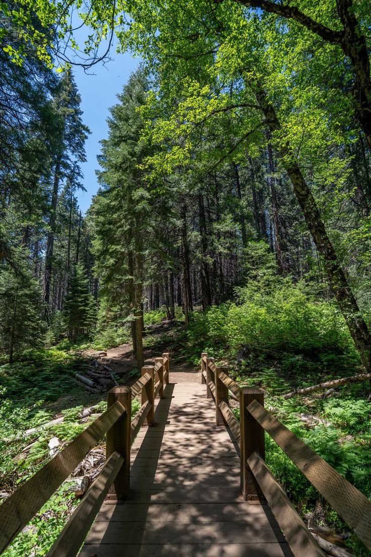 This contains: Best Things to Do in Yosemite National Park California