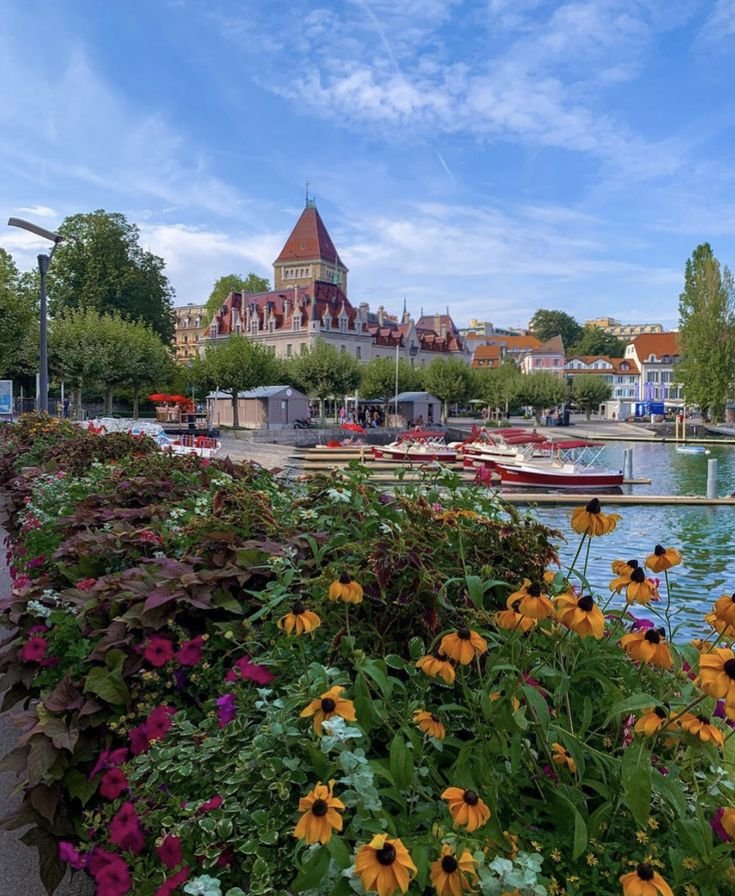 This may contain: flowers and boats on the water in front of buildings