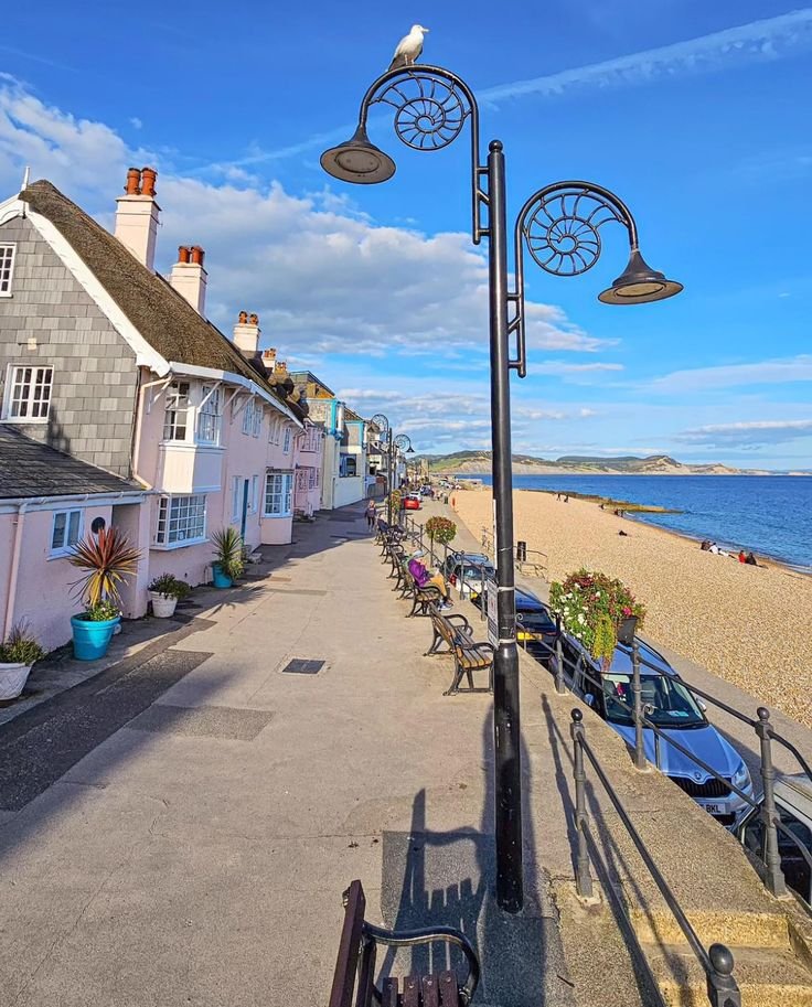 This may contain: a row of beach houses next to the ocean
