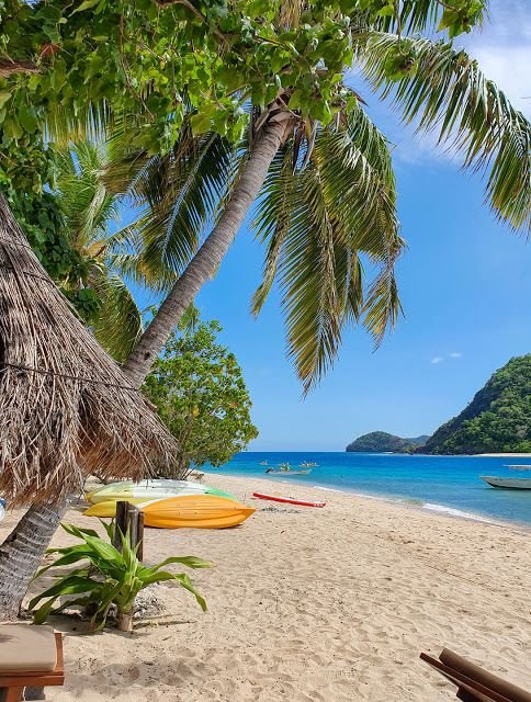 This may contain: the beach is lined with chairs and palm trees
