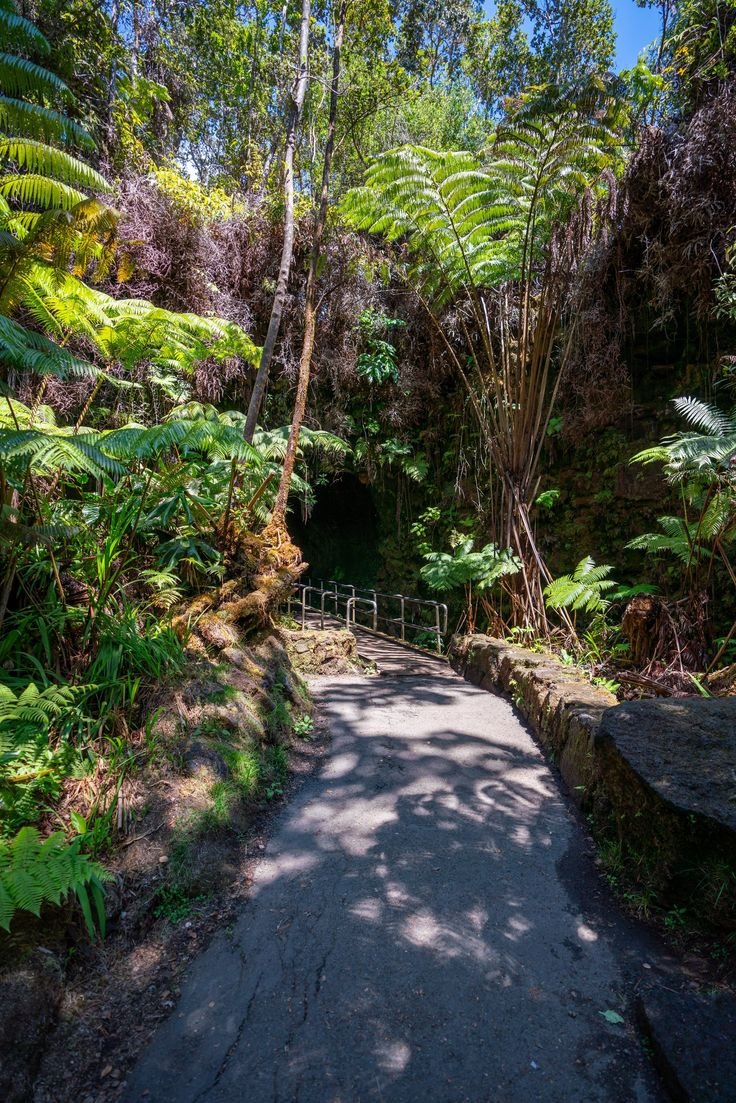 This contains: Best Things to Do Hawaii Volcanoes National Park