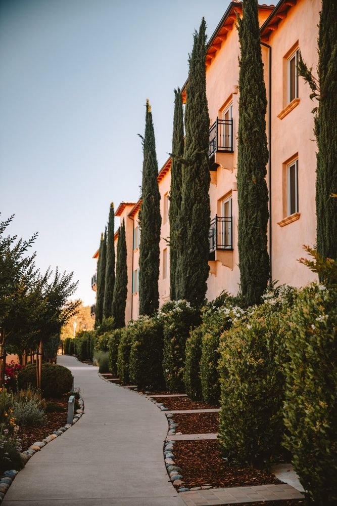 This may contain: the walkway is lined with tall trees and bushes in front of an apartment building at sunset