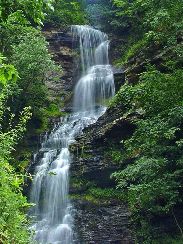 This may contain: a waterfall in the woods with lots of water coming out of it's sides