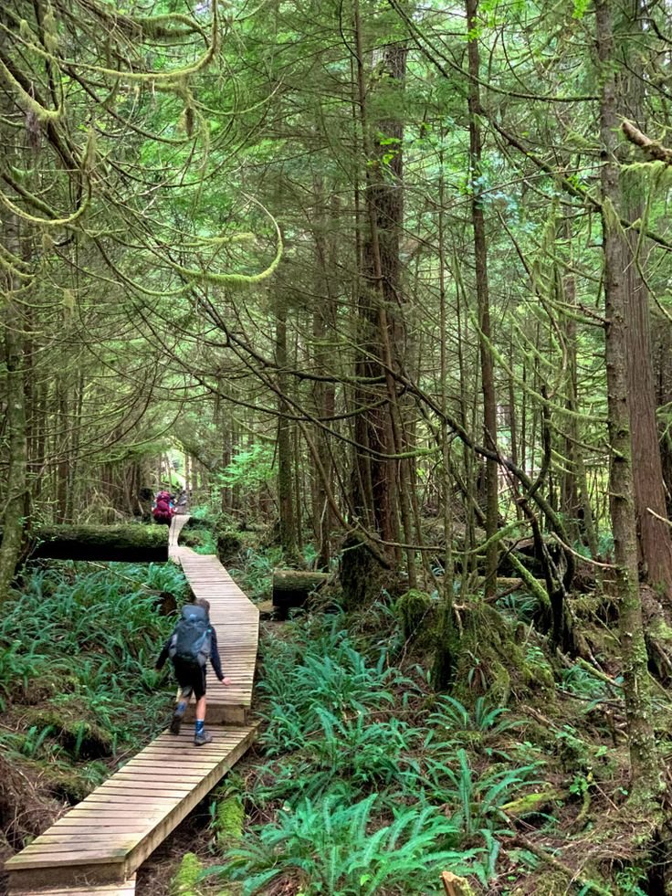 This may contain: two people walking across a wooden bridge in the woods on a path between tall trees
