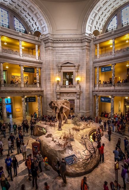 This may contain: an elephant statue is in the middle of a large building with people standing around it