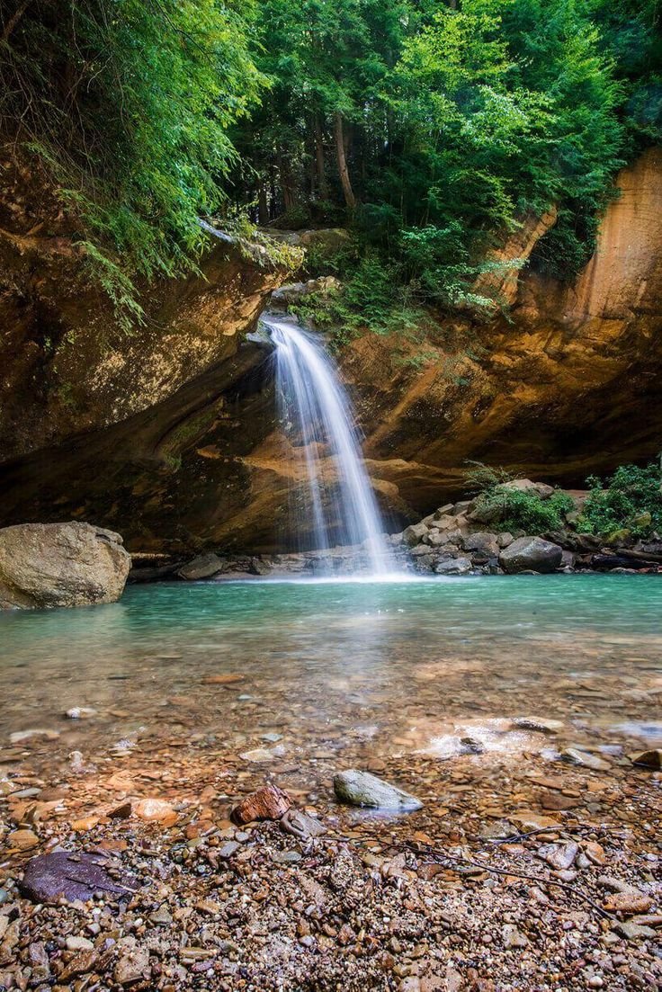 This may contain: a small waterfall in the middle of a forest