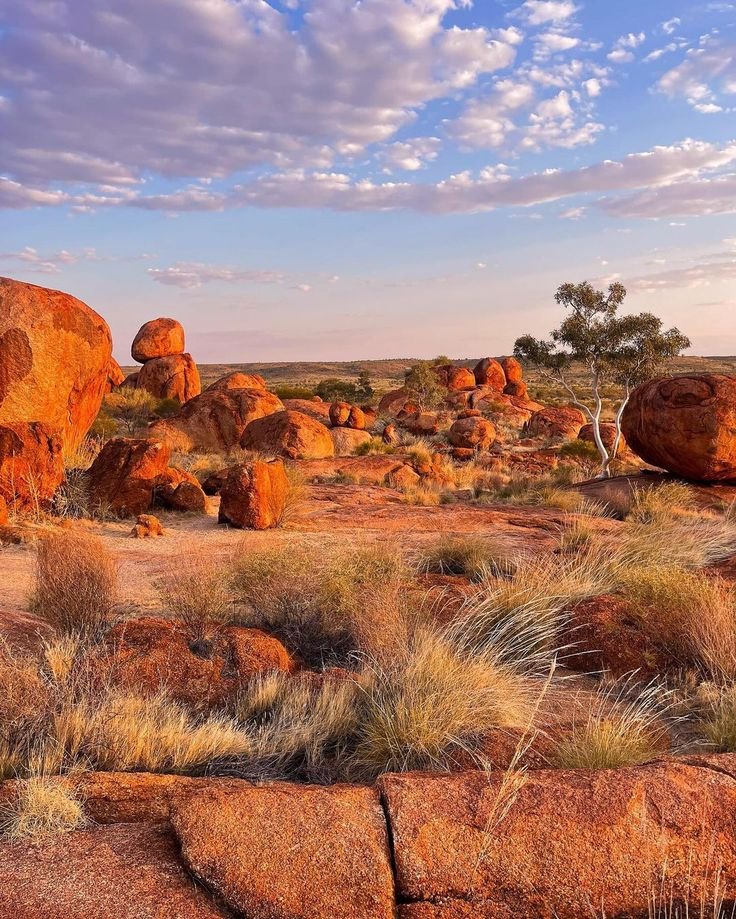 This may contain: some rocks and grass in the desert under a blue sky with white clouds above them