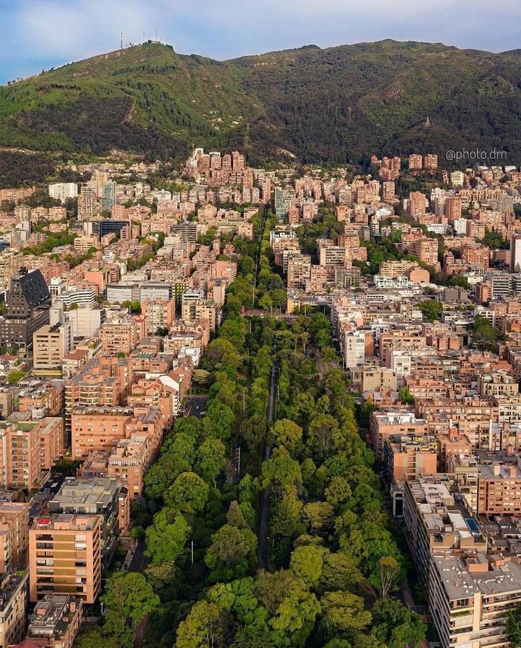 This may contain: an aerial view of a city with lots of tall buildings and trees in the foreground