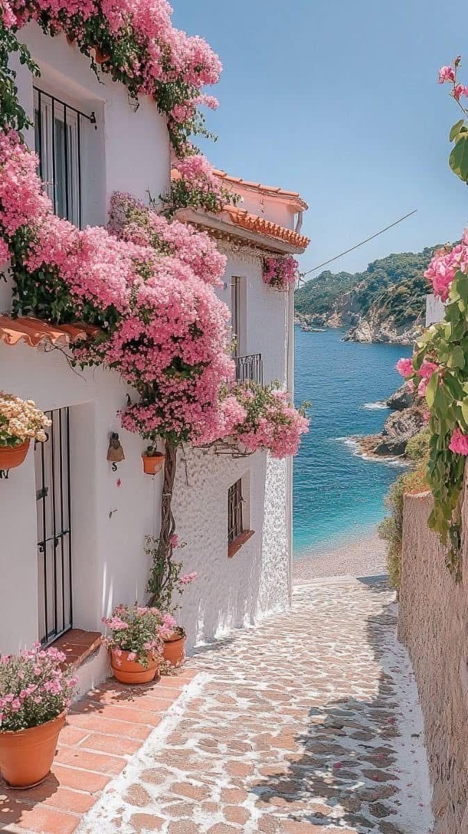 This may contain: pink flowers are growing on the side of white buildings next to the ocean with blue water