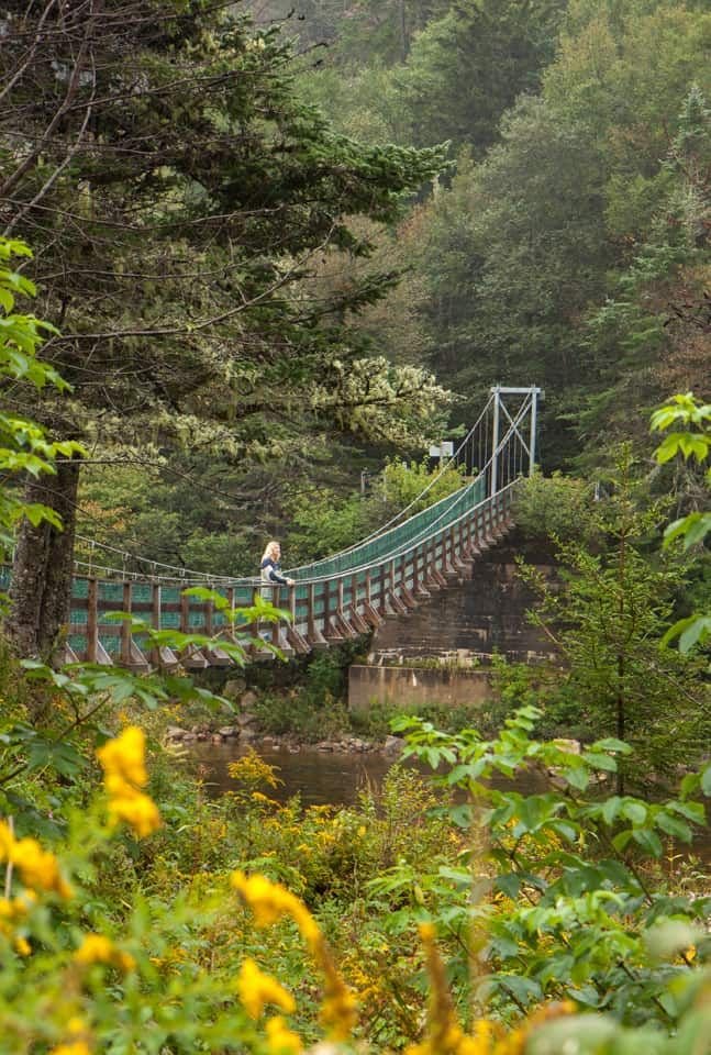 This may contain: a man walking across a bridge in the woods