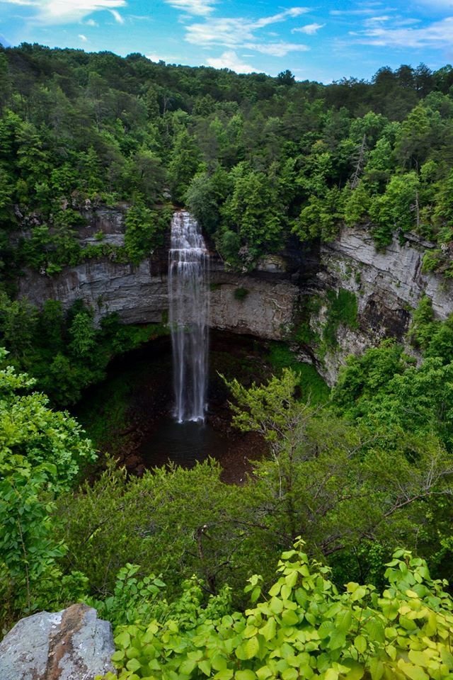 This may contain: a large waterfall in the middle of a forest