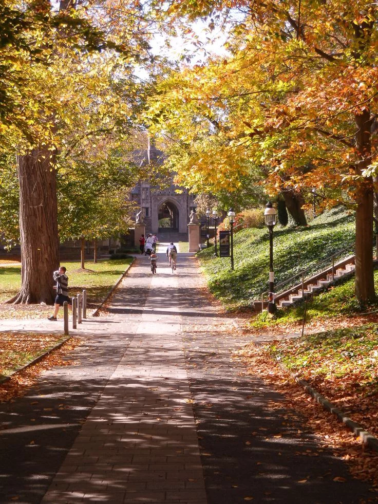 This may contain: two people walking down a path in the fall