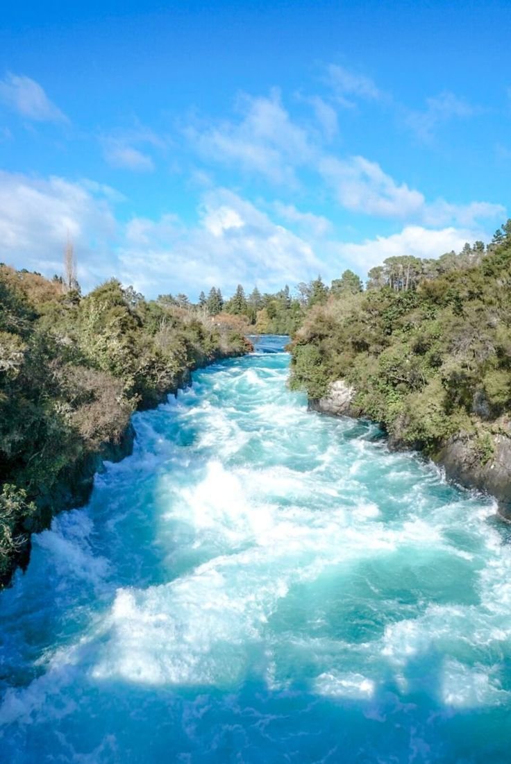 This may contain: a river running through a lush green forest