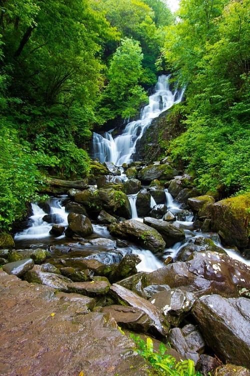 This may contain: a small waterfall in the middle of a forest with lots of rocks and greenery