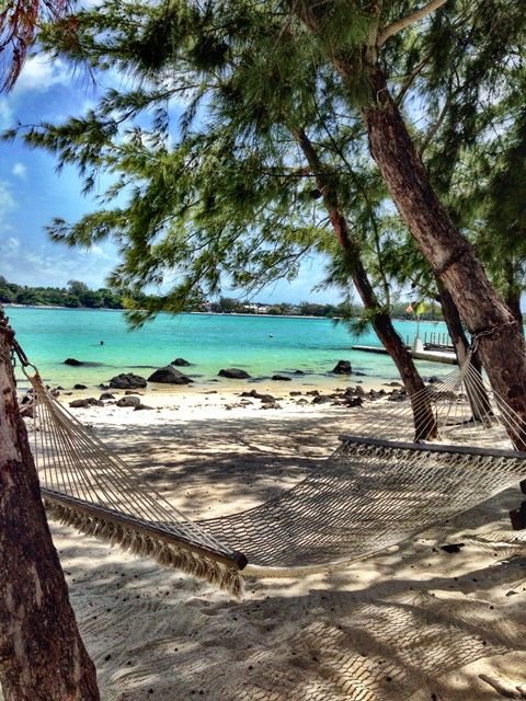 This may contain: a hammock on the beach between two trees