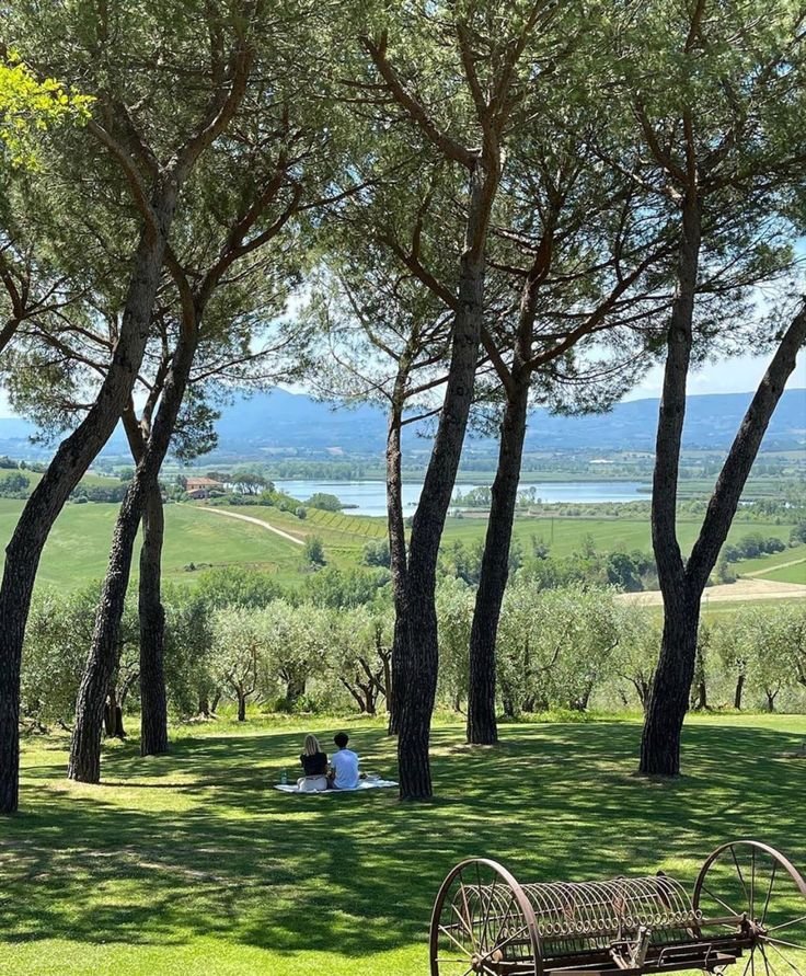 This may contain: two people sitting on a bench in the shade of some trees and looking out over an open field