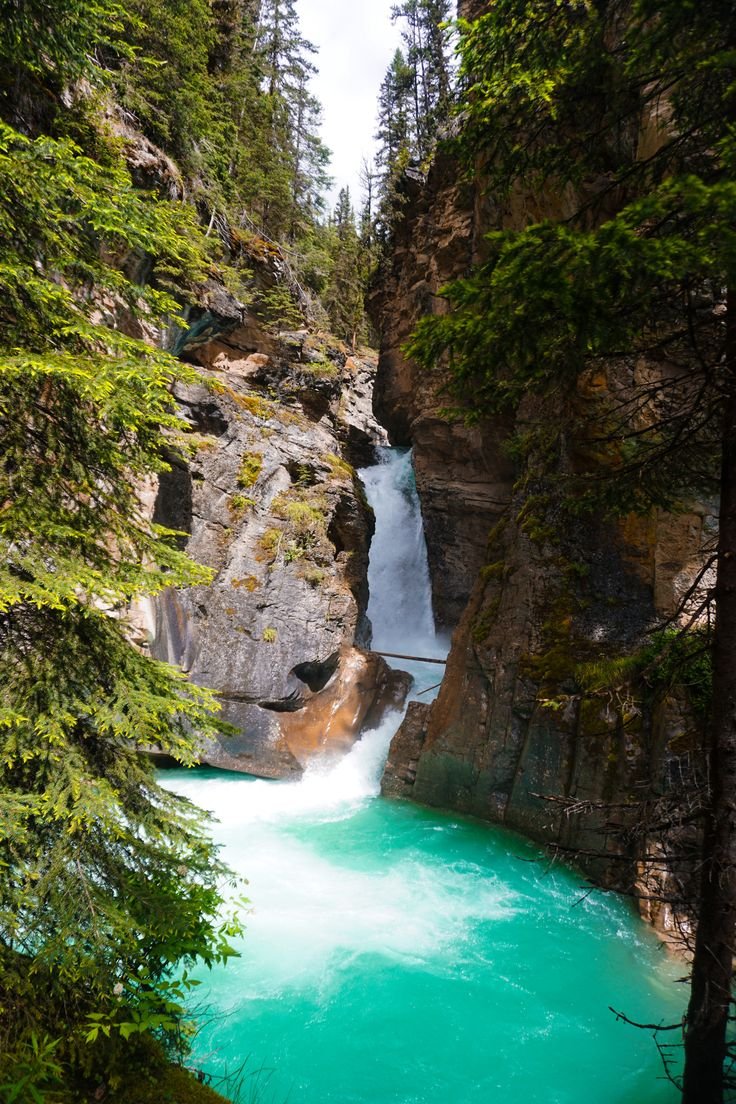 This may contain: a waterfall in the middle of a forest filled with trees and blue water surrounded by rocks
