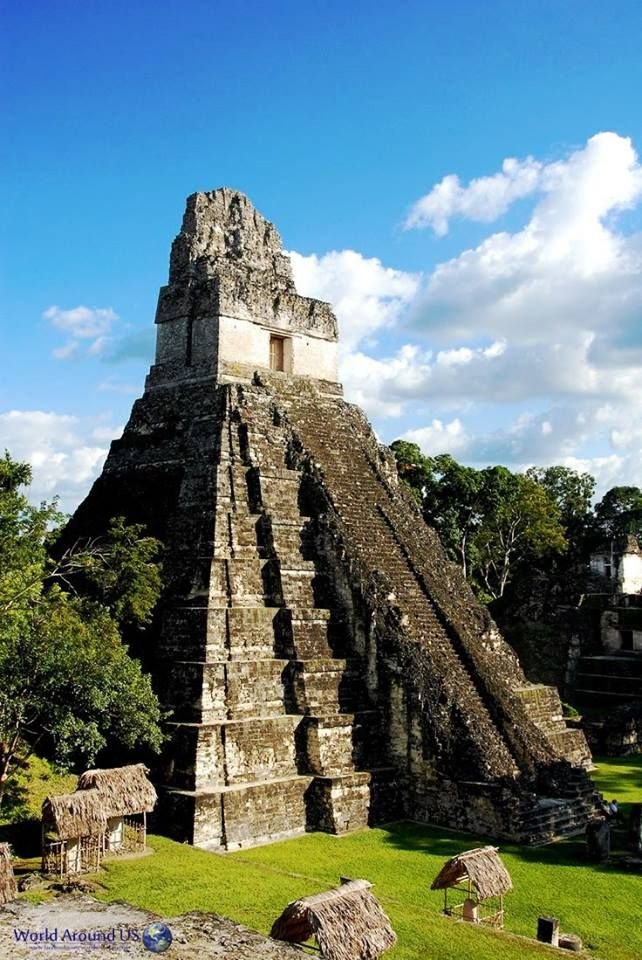 This may contain: an ancient pyramid in the jungle surrounded by trees
