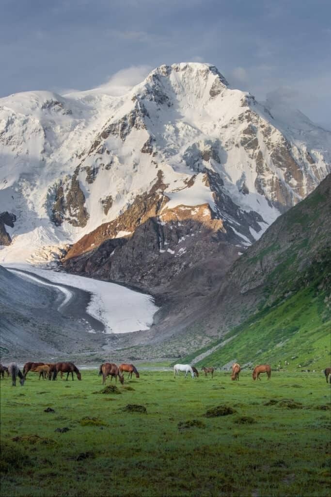 This may contain: horses graze in an open field with snow covered mountains behind them and green grass on the ground
