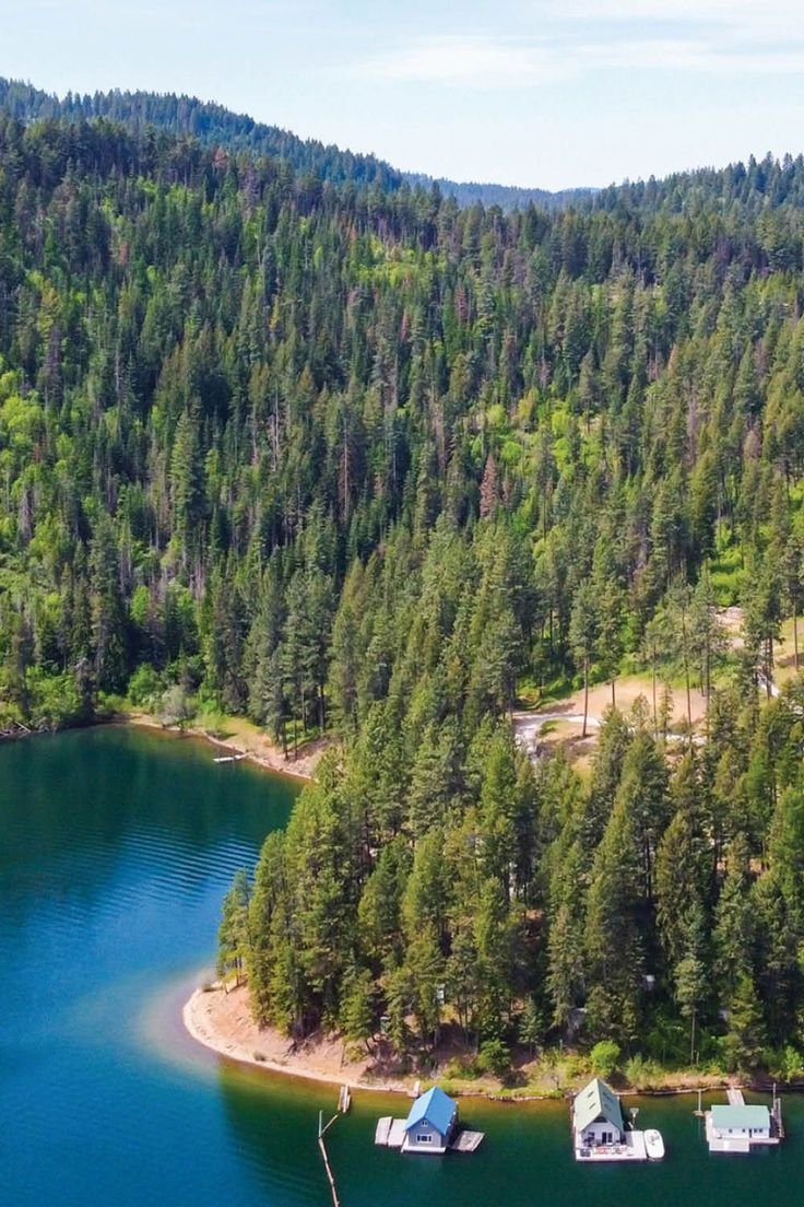This may contain: an aerial view of a lake surrounded by trees