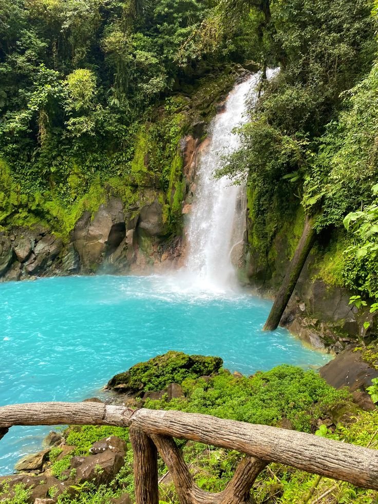 This may contain: a large waterfall in the middle of a forest
