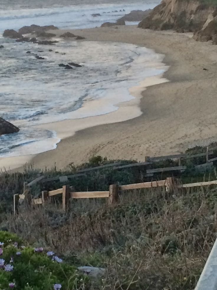 This may contain: an ocean view from the top of a hill with flowers growing in front of it