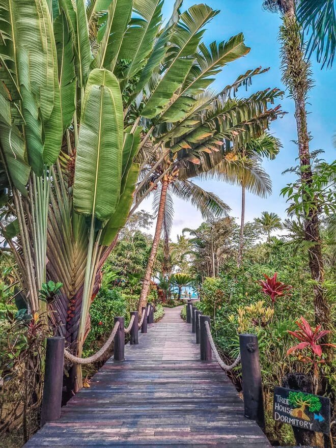 This contains: walkway and scenic plants