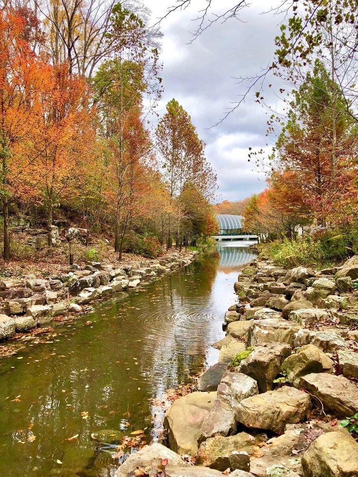 This may contain: a river running through a forest filled with lots of rocks and trees covered in fall foliage