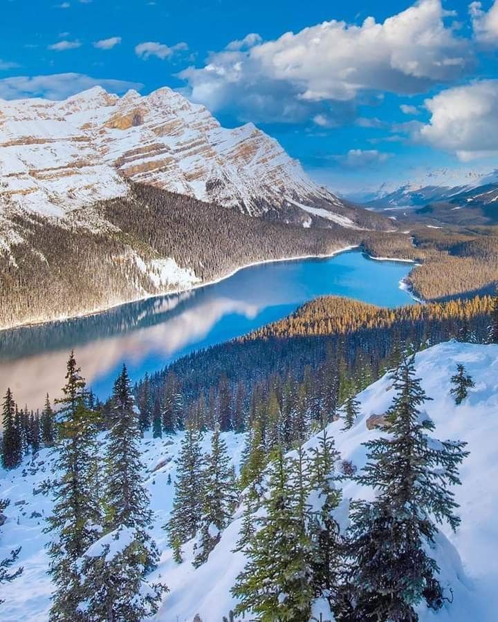 This may contain: snow covered mountains and pine trees surrounding a lake in the middle of winter with blue sky