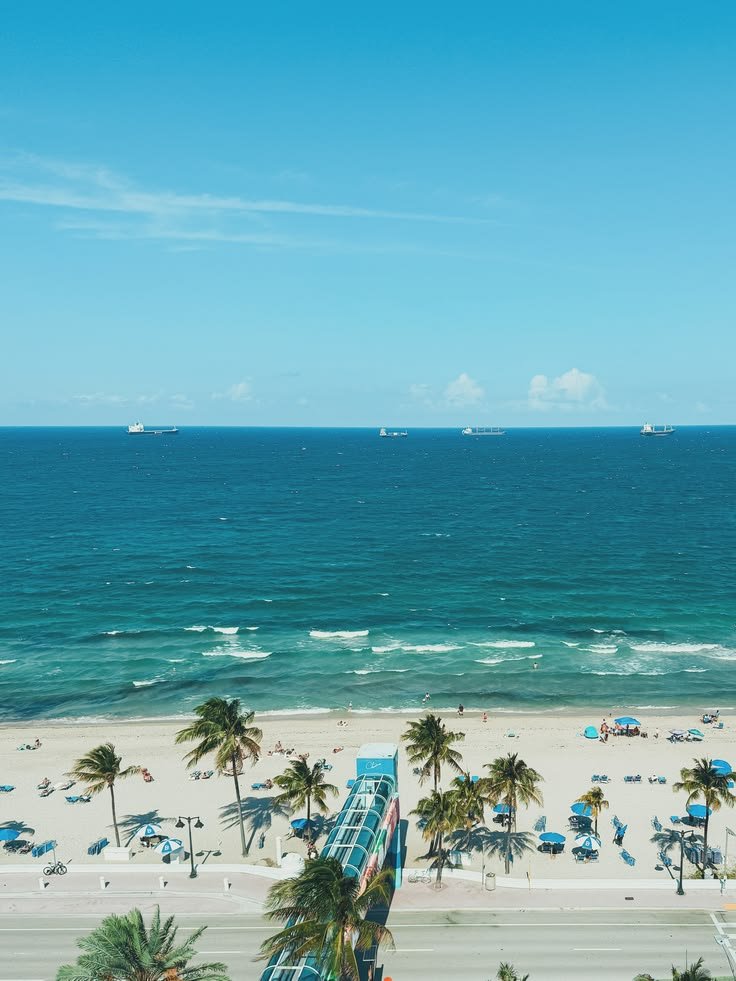 This may contain: an aerial view of a beach with palm trees and blue water in the background,