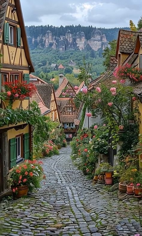 This may contain: a cobblestone street with flowers and potted plants on both sides in front of mountains