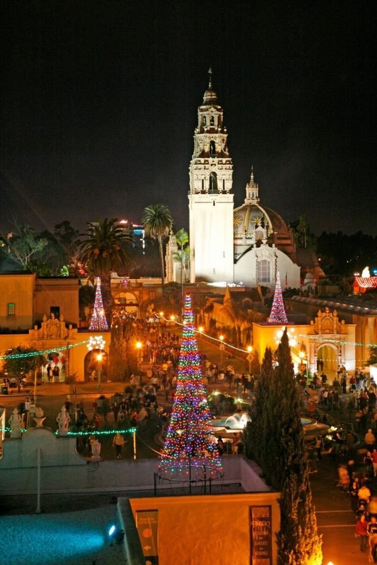 This may contain: the christmas tree is lit up at night