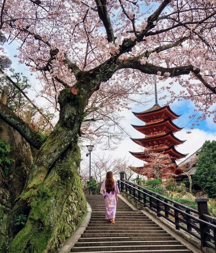 This may contain: a woman walking down some steps in front of a tree with pink flowers on it