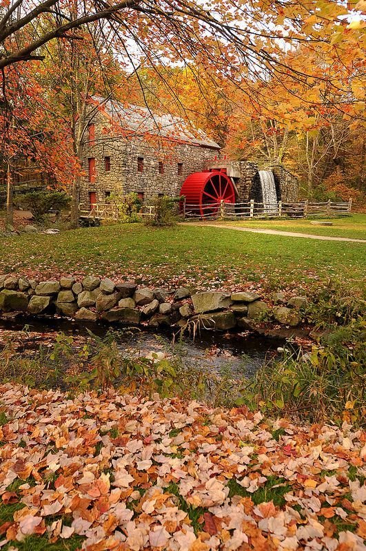 This may contain: a red water wheel sitting in the middle of a field surrounded by fall leaves and trees
