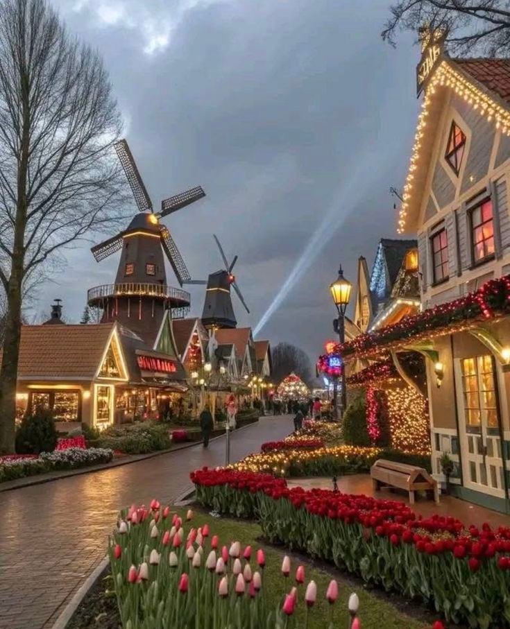 This may contain: a street lined with lots of houses covered in christmas lights and decorated with tulips
