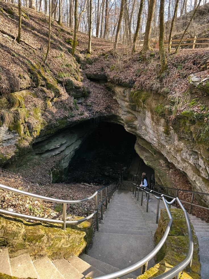 This may contain: stairs lead up to a cave in the woods