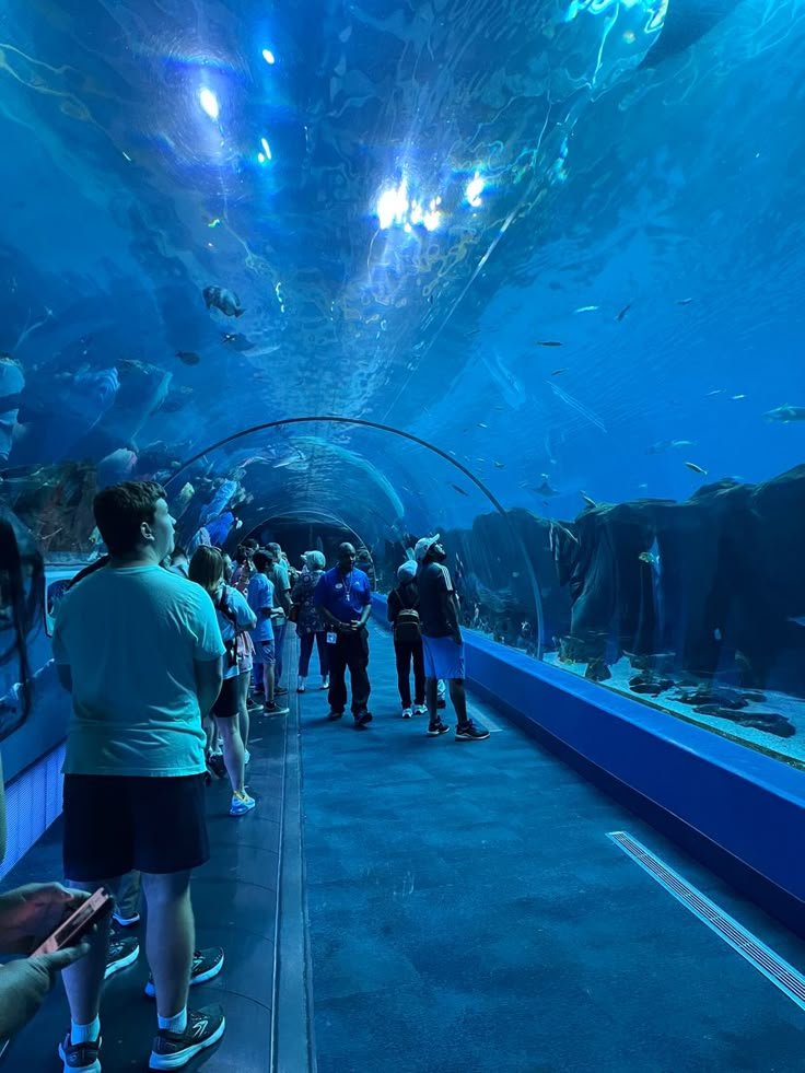 This may contain: many people are standing in front of an aquarium
