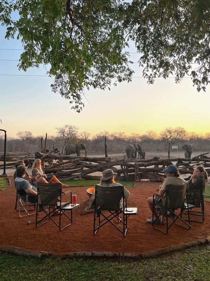 Moments at The Siding 🐘🔥
A bush getaway that’s private, peaceful and not too far from Victoria Falls.
Right outside Hwange National Park, this self-catering camp is all yours — perfect for groups of friends or family. Enjoy front-row seats to elephant visits, fireside evenings, and a camp that blends comfort with the wild.
Simple. Easy. Unforgettable. 👣🍃
@the.siding
Res@thesidinghwange.com
•
•
•
Overland Stop | Safari Camp | Self-Catering Stay | Hwange National Park | Private Bush Esca...