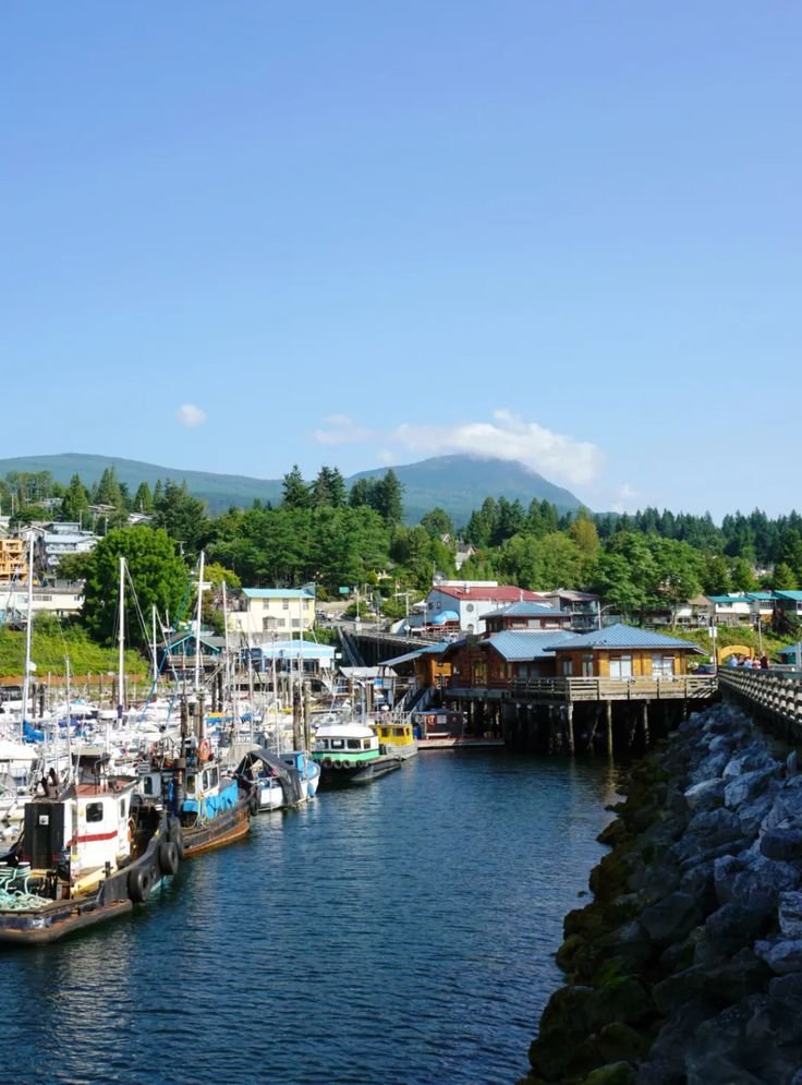 This may contain: several boats are docked in the water near some buildings and trees with mountains in the background