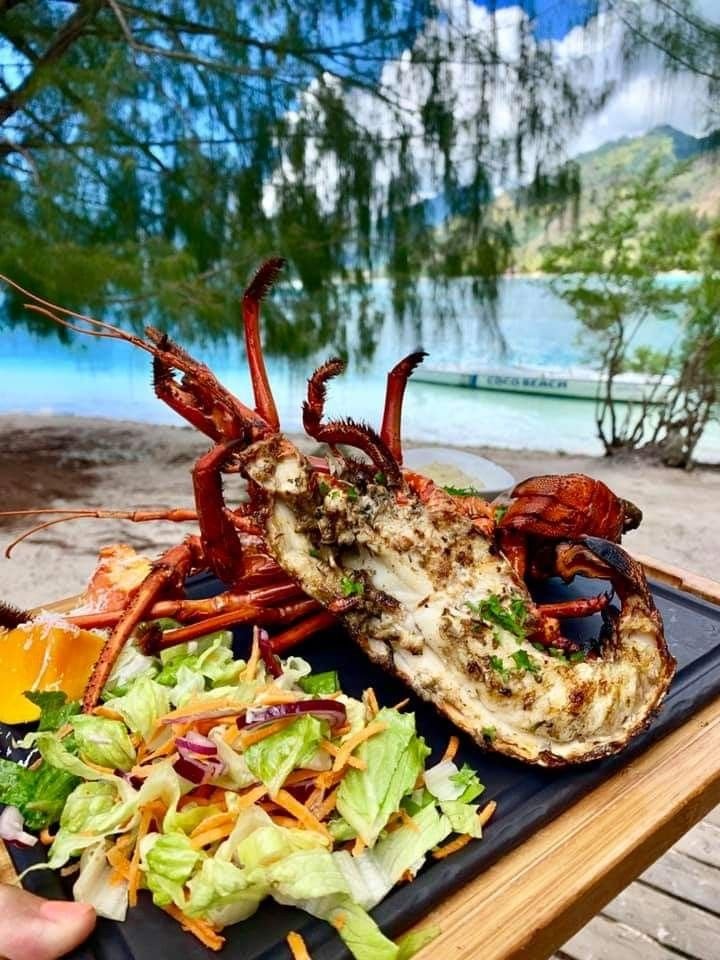 This may contain: a person holding a plate with lobster and salad on it