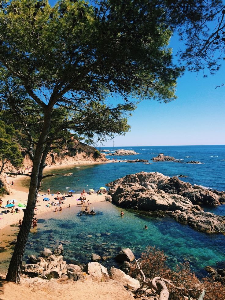 This may contain: people are on the beach and in the water near some rocks, trees, and sand
