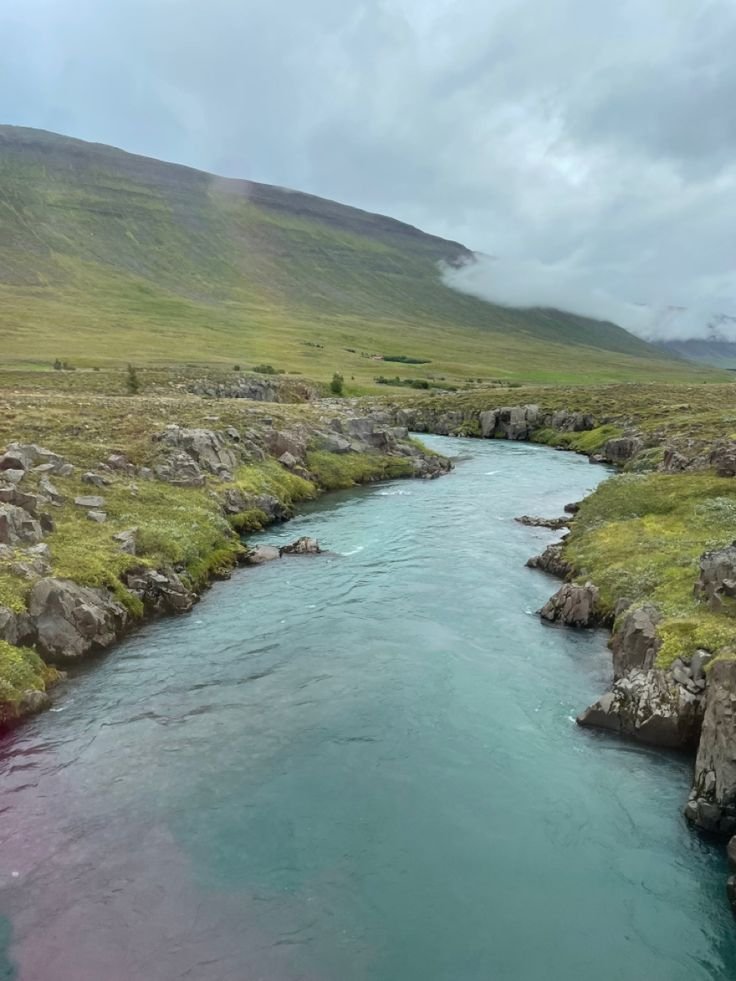 This may contain: a river running through a lush green valley