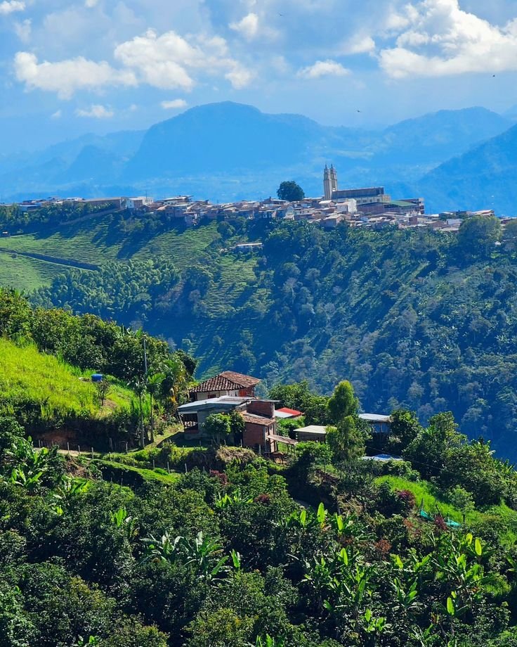 This may contain: a lush green hillside covered in lots of trees next to a town on top of a hill